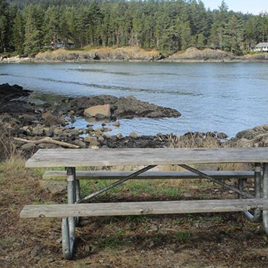 Picnic table with a view of the cove