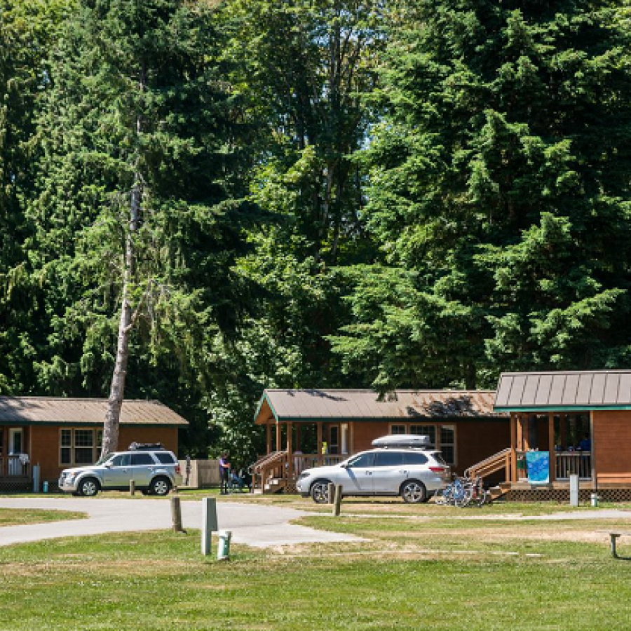 Dosewallips Cabins Exterior with trees in background