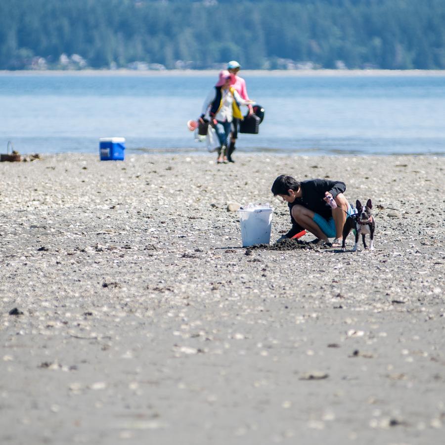 A visitor and their dog clam digging at Dosewallips State Park.