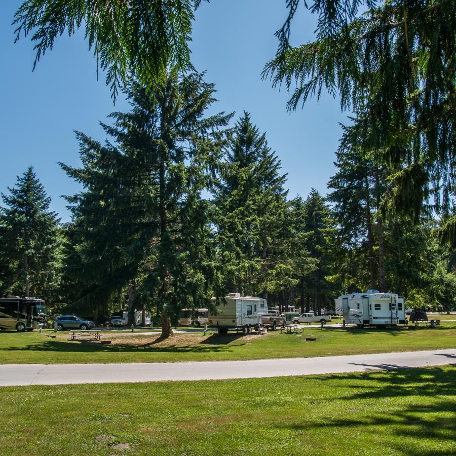 The hookup sites in Dosewallips campground.