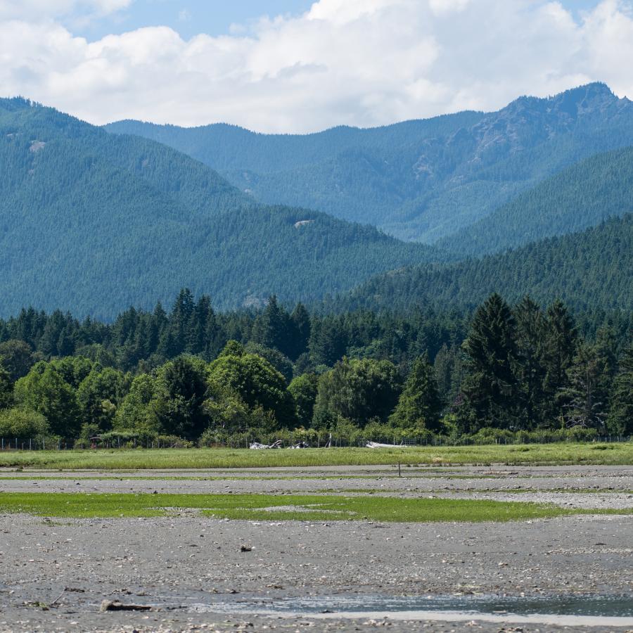 The mountain range surrounding Dosewallips State Park.