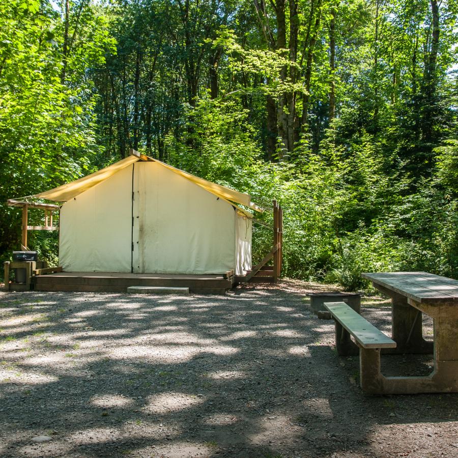 The platform tent surrounded by trees in the campground at Dosewallips.