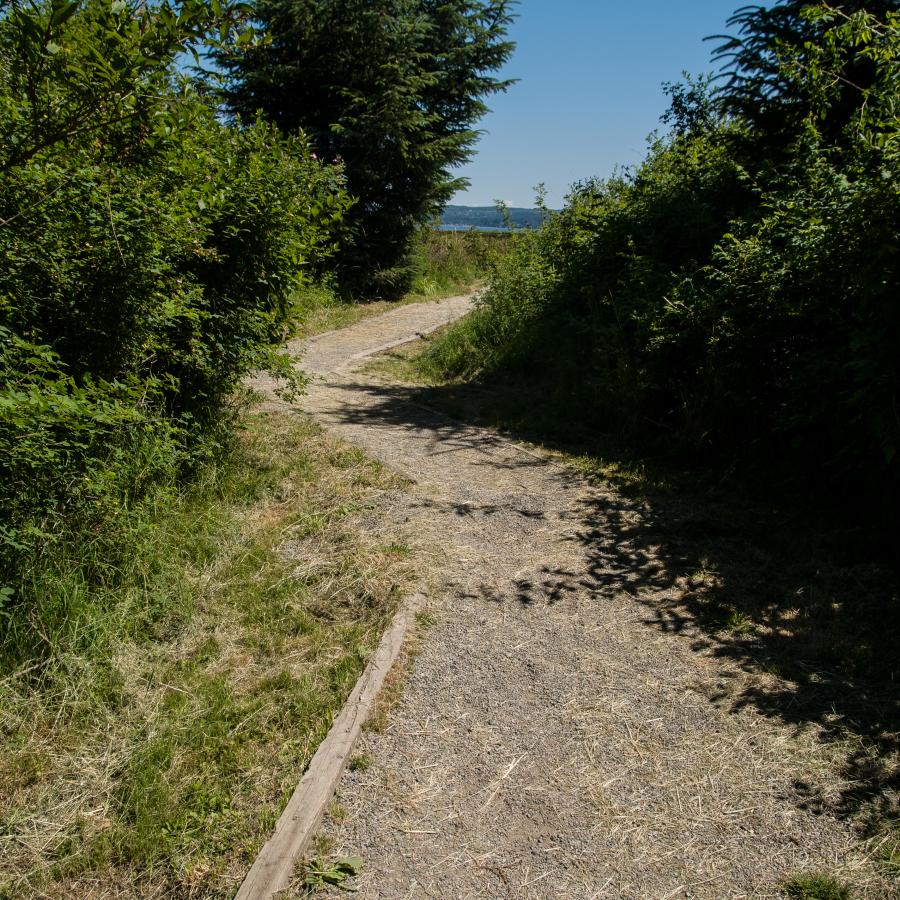 The trail that leads to the beach at Dosewallips.
