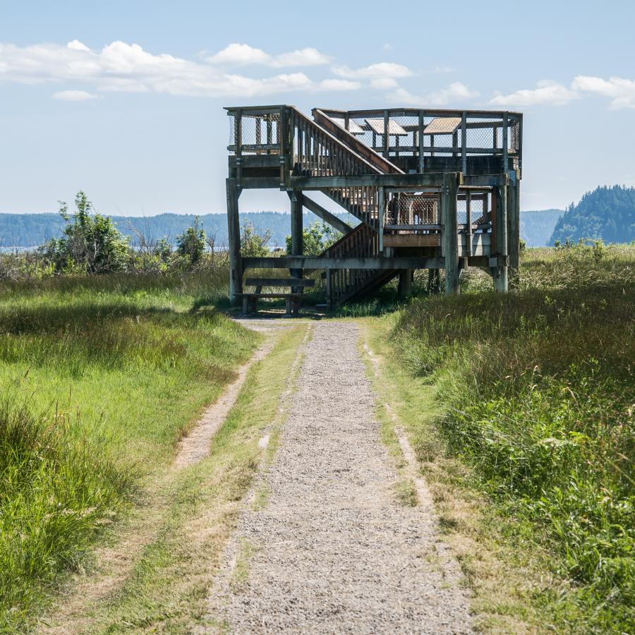 A path leading to the viewing platform on Dosewallips beach.