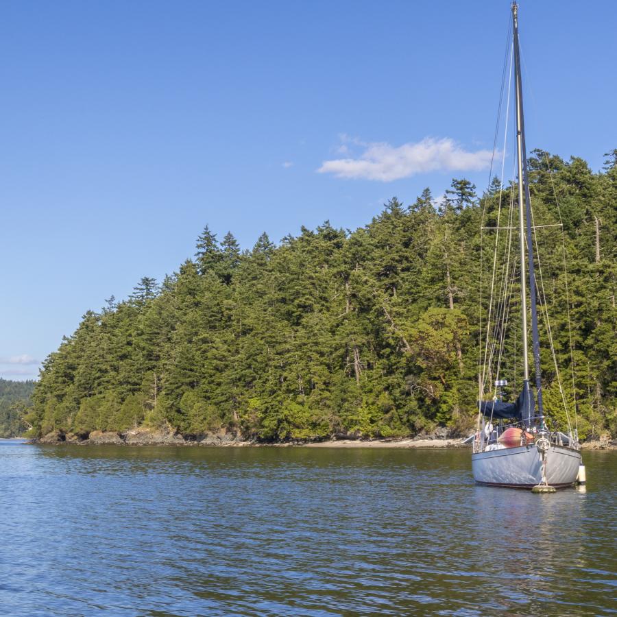 Two boats attached to the buoys on the waters of Hope Island State Park.