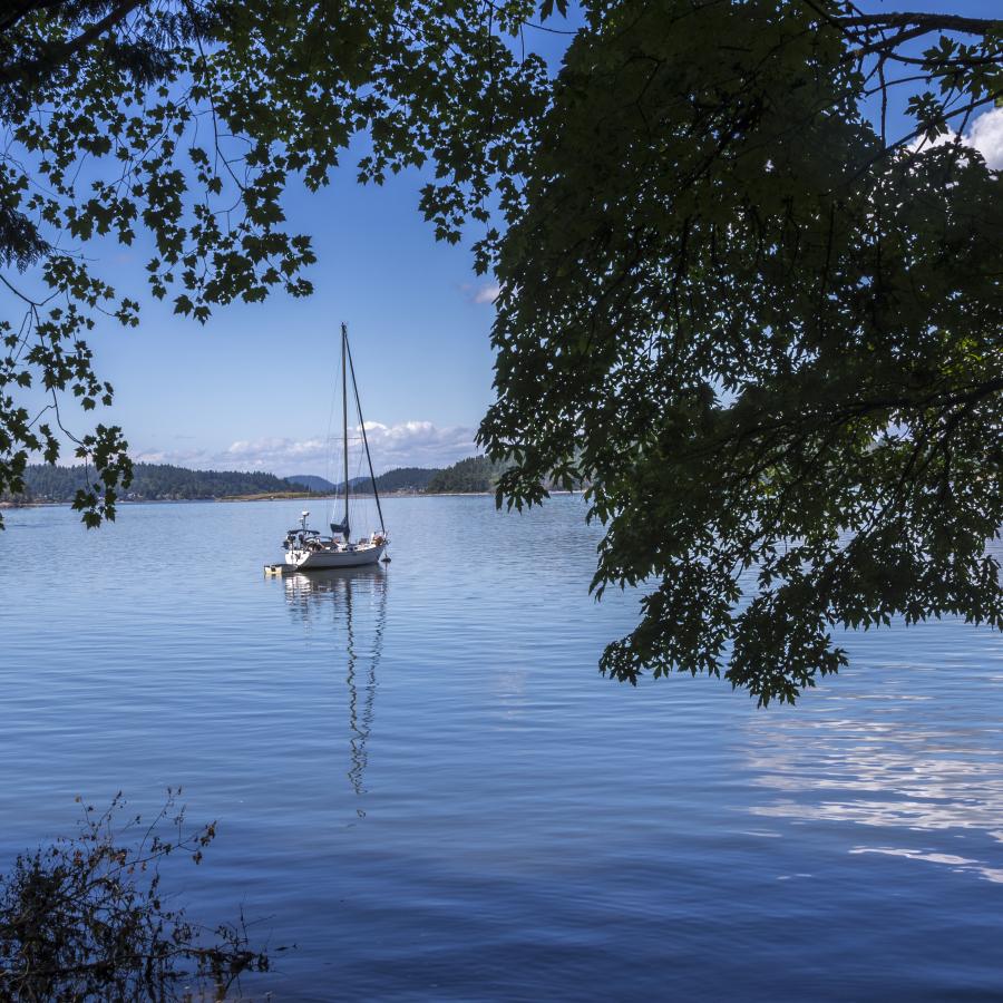 A view of a boat in water framed by trees.