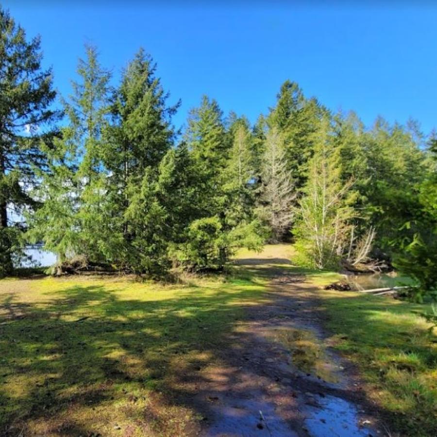 grassy trailhead leading into the woods