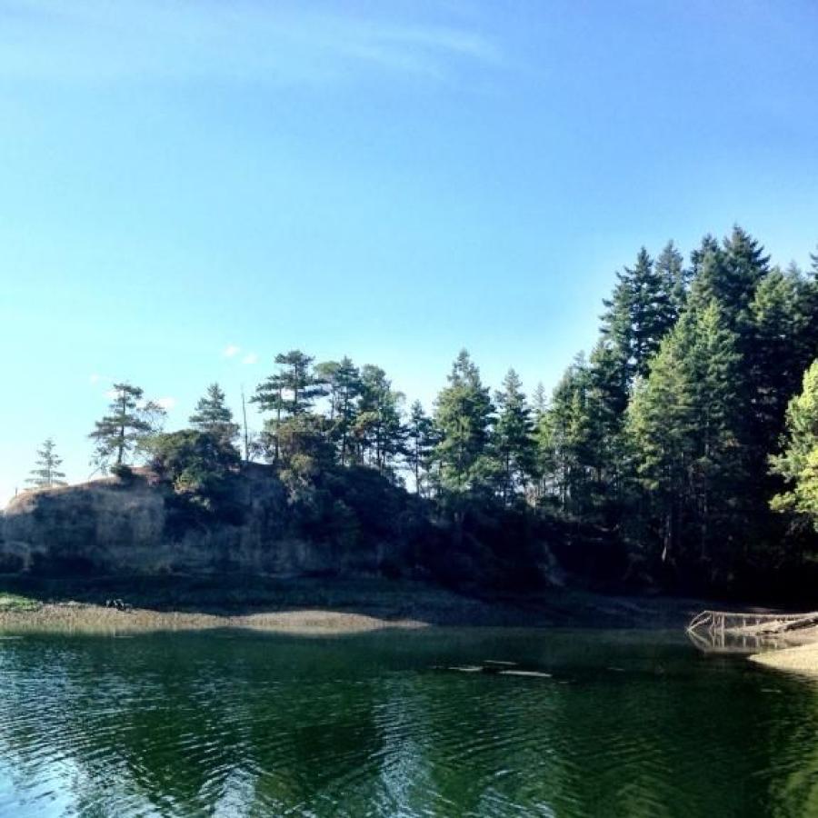 crystaline bluegreen water of the cove reflect the surrounding trees along the beach