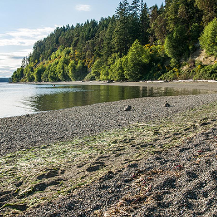 The rocky beach at Joemma Beach State Park.