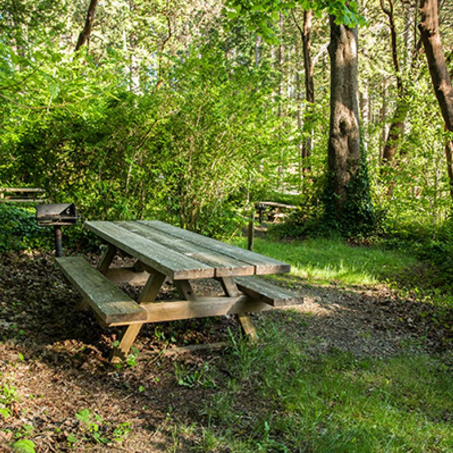 A picnic table in one of the marine primitive campsites at Joemma Beach.