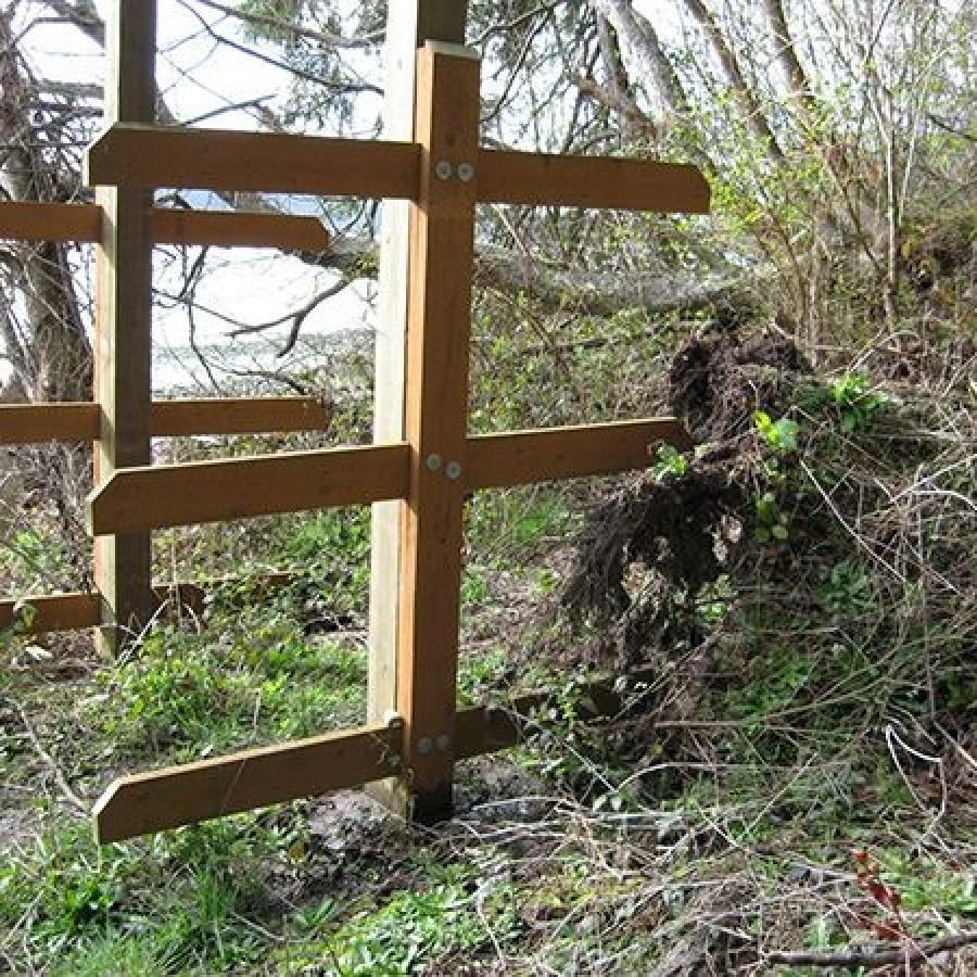 Empty wooden canoe rack, three levels, with large metal bolts located on what looks to be an incline. Brush is green, but deciduous trees visible in the background are leafless. 