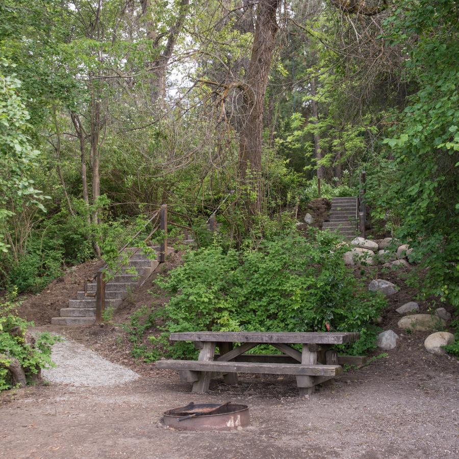 Lake Chelan Campsite