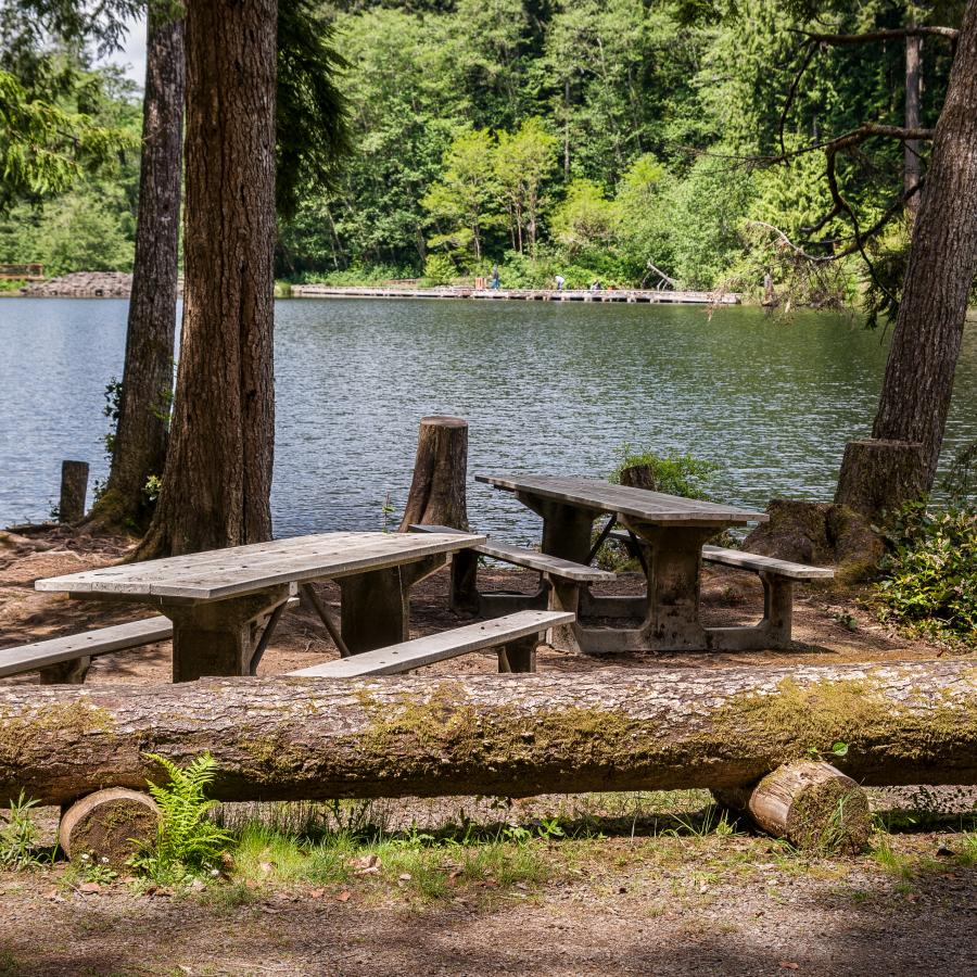 picnic spot with tables under trees next to the bluegreen waters of the lake.