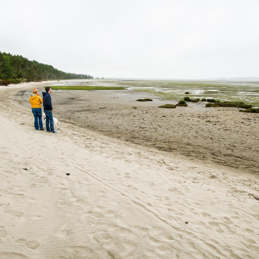 expansive beach with two people looking out at the marsh 