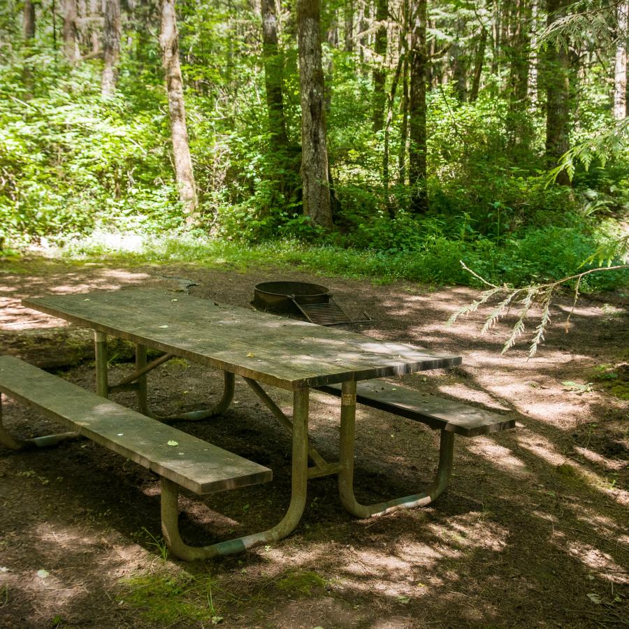 Lewis & Clark primitive campsite with fire pit and picnic table in heavily wooded spot