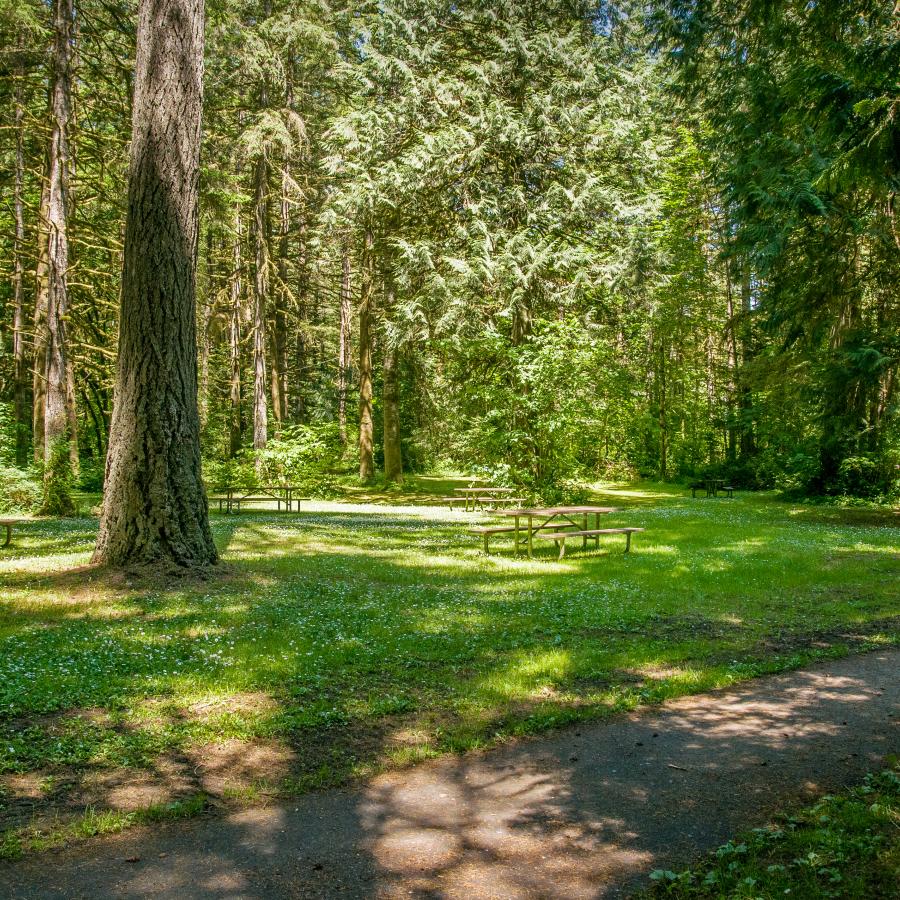 Lewis & Clark large grassy area with many picnic tables for visitors to share a meal