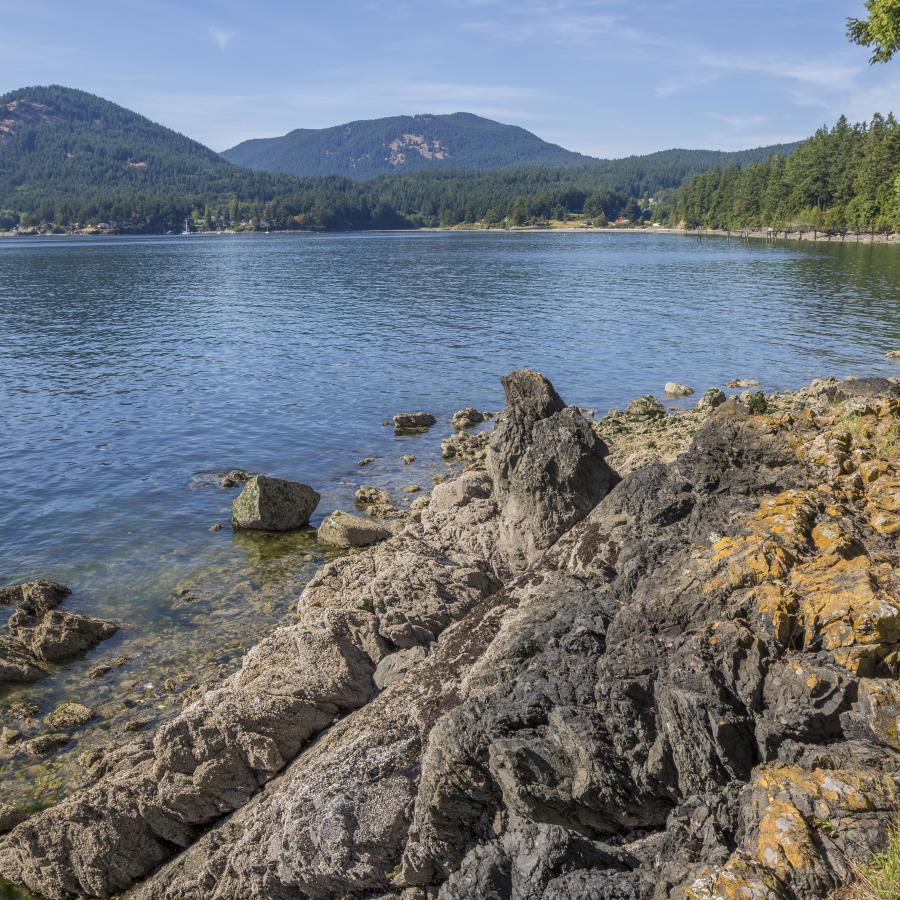 The foreground shows the rocky shoreline of Obstruction pass. Most of the rock is a dark grey, but some is covered in an orangish lichen. The water is blue with some visible rocks under the water. On the other side of the water forested hills are visible with green leaved trees. 