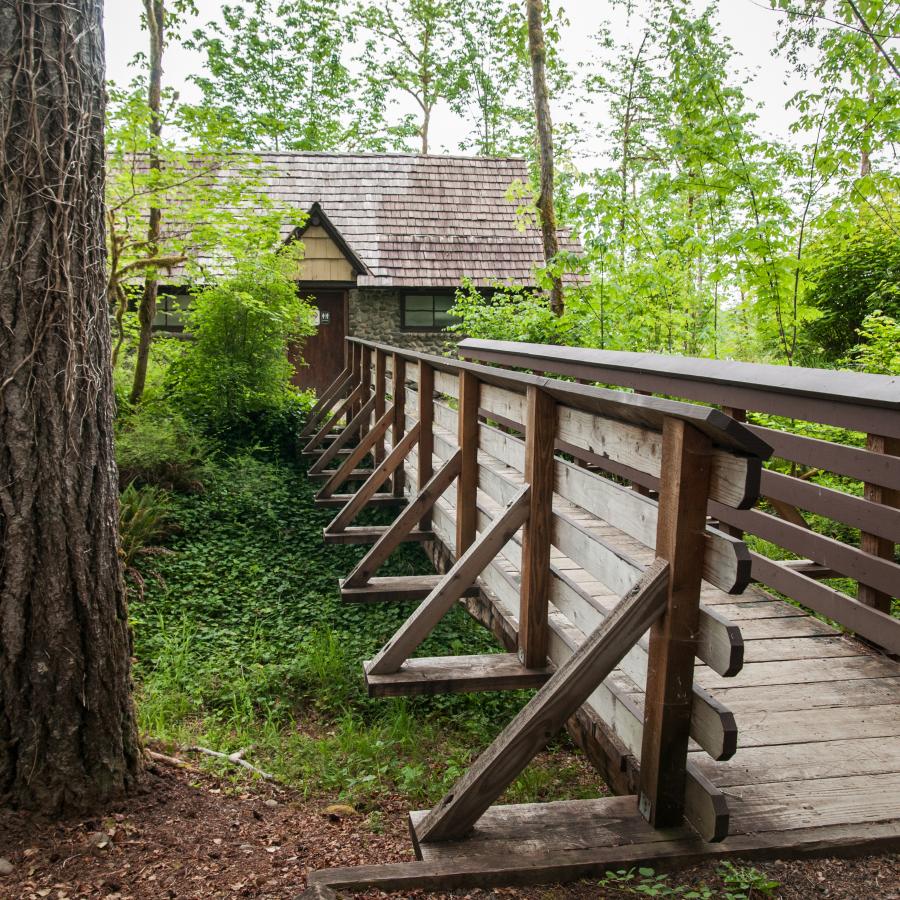 Bridge leading to restrooms. The bridge is wooden and a light brown with 5 horizontal boards along the side. The restroom building in the background has wooden shingles and appears to be made of stone. There are trees visible near the bridge with lush, green leaves. The undergrowth is also green. 