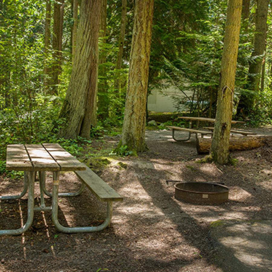 A picnic table in a standard campsite at Sequim Bay. 