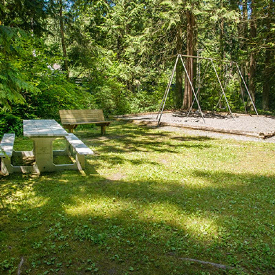 Swingset with a picnic table and a grassy area at Sequim Bay.