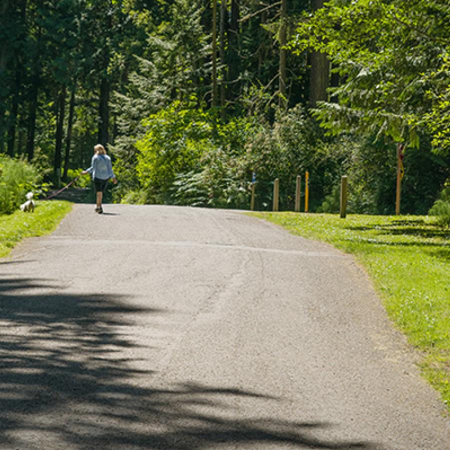 A visitor walking their dog along the road in Sequim Bay State Park.