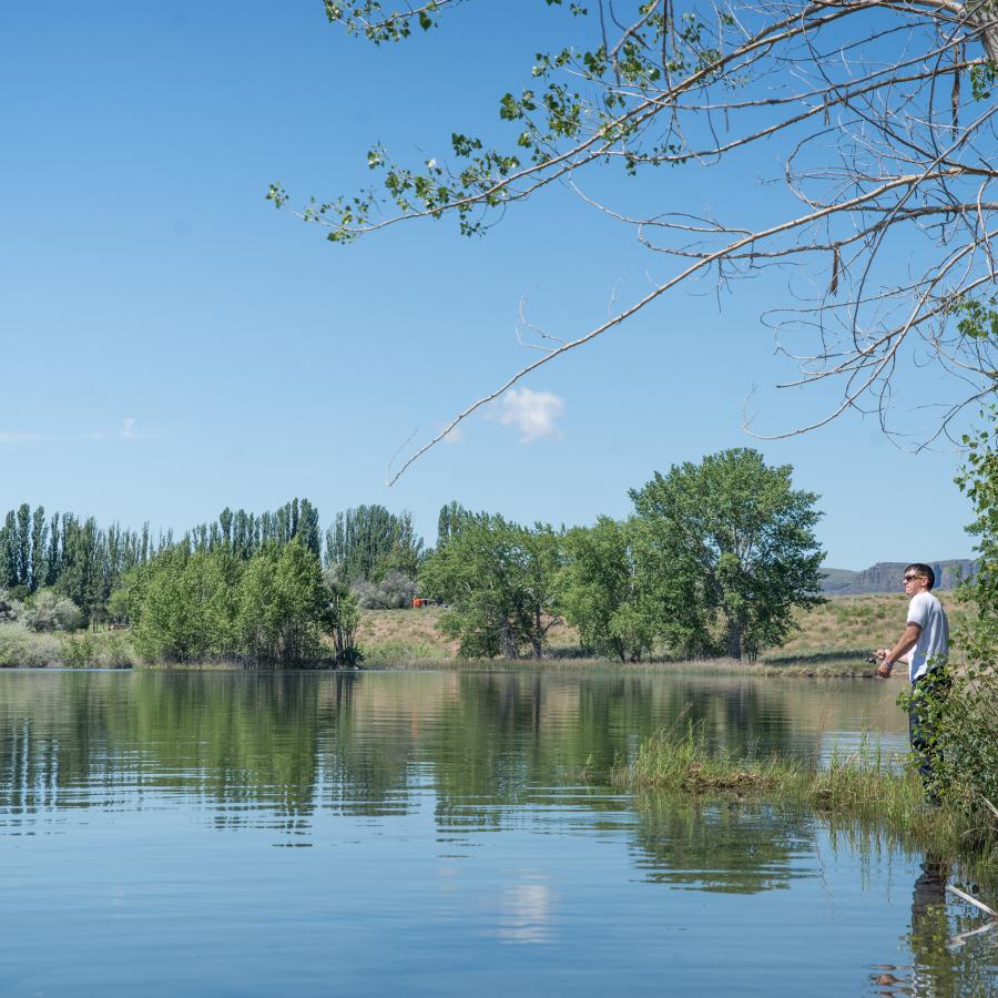 Looking over the lake, with the trees and sky reflecting in the water, with a fisherman fishing on the bank