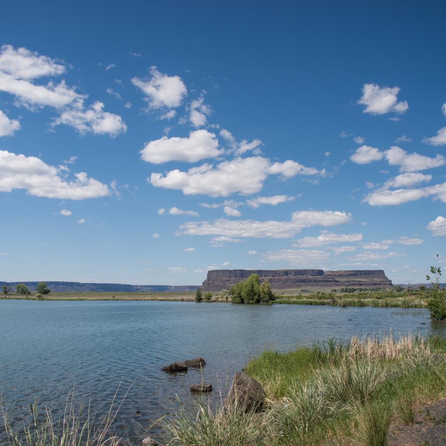 Basalt rock plateau in the distance with the lake in the foreground and grass on the edge