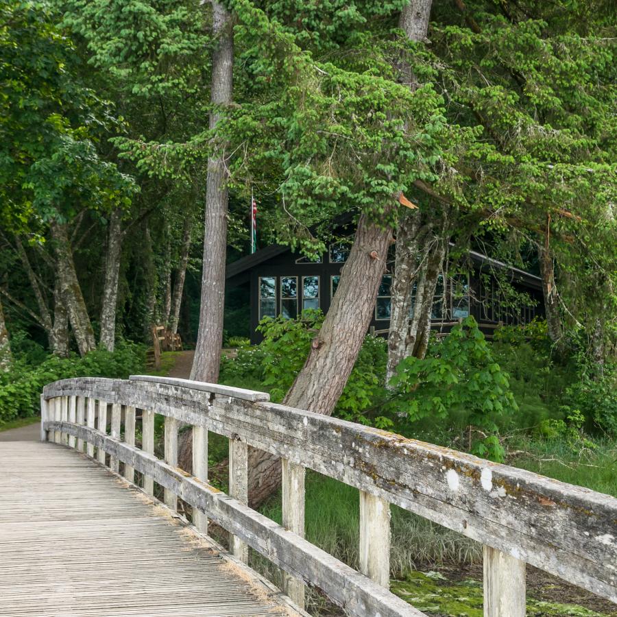 Standing on the greyish-brown wooden bridge facing the forested area and away from the rocky beach. A building if visible in the forest, and the trees have bright green leaves. 