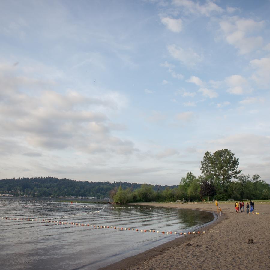 Tibbets beach is sandy with some buoys on the water indicating aquatic recreation areas. Roughly 9 visitors are enjoying the beach. Lush green trees and grass are visible on the right side of the image. 