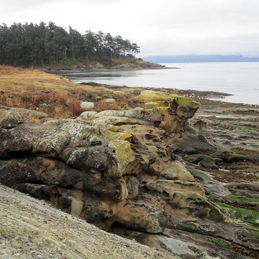 Rocky shoreline of Patos Island with orangish-brown colored rocks along the left side of the image with yellow-green lichen growing on them. To the right  the water is visible though is far enough away it's difficult to make out any detail. The water is reflecting the white, cloudy sky. In te background more landmass of Patos Island is visible with tall trees and what appears to be similar orangish-brown rocks. 