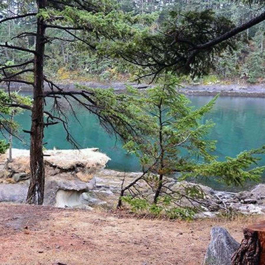 Turquoise blue water is visible in the midground of this photo framed by rocky shoreline, trees, and what appears to be a trail in the foreground and the rocky shoreline and forested strip in the background. 