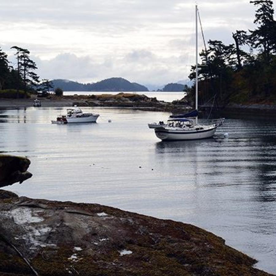 Personal watercraft anchored in the cove. Two white watercraft are clearly visible and a third is just barely visible along the shoreline. The cove is encircled by rocky shoreline and trees. The rock is orangish-brown but due to the lighting in the picture, it is hard to make out much detail. 