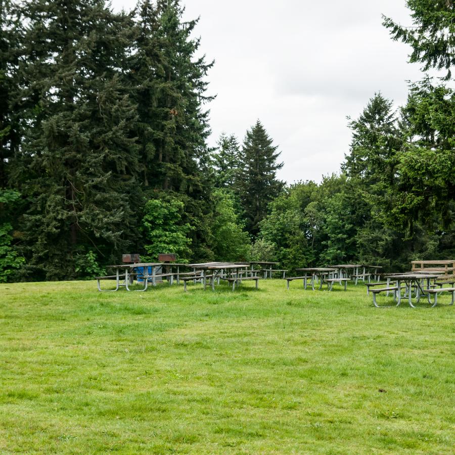 Picnic ara with multiple picnic tables and grills. The grass is green and the trees in the background are lush and green.
