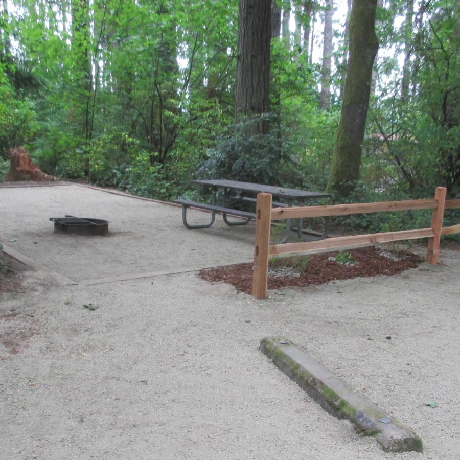 Belfair Campsite paved with forest