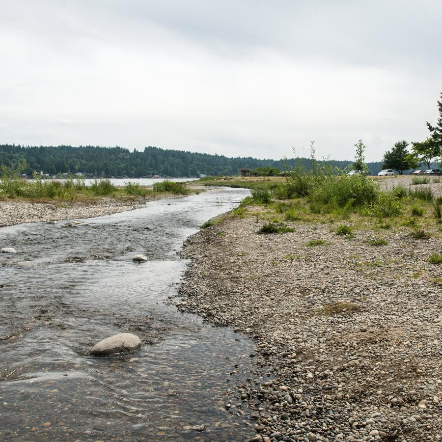 Belfair day use creek to Hood Canal and beach area