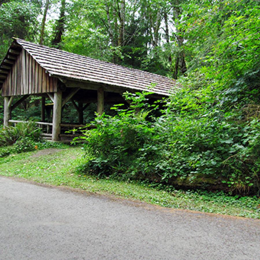 A picnic shelter surrounded by greenery.