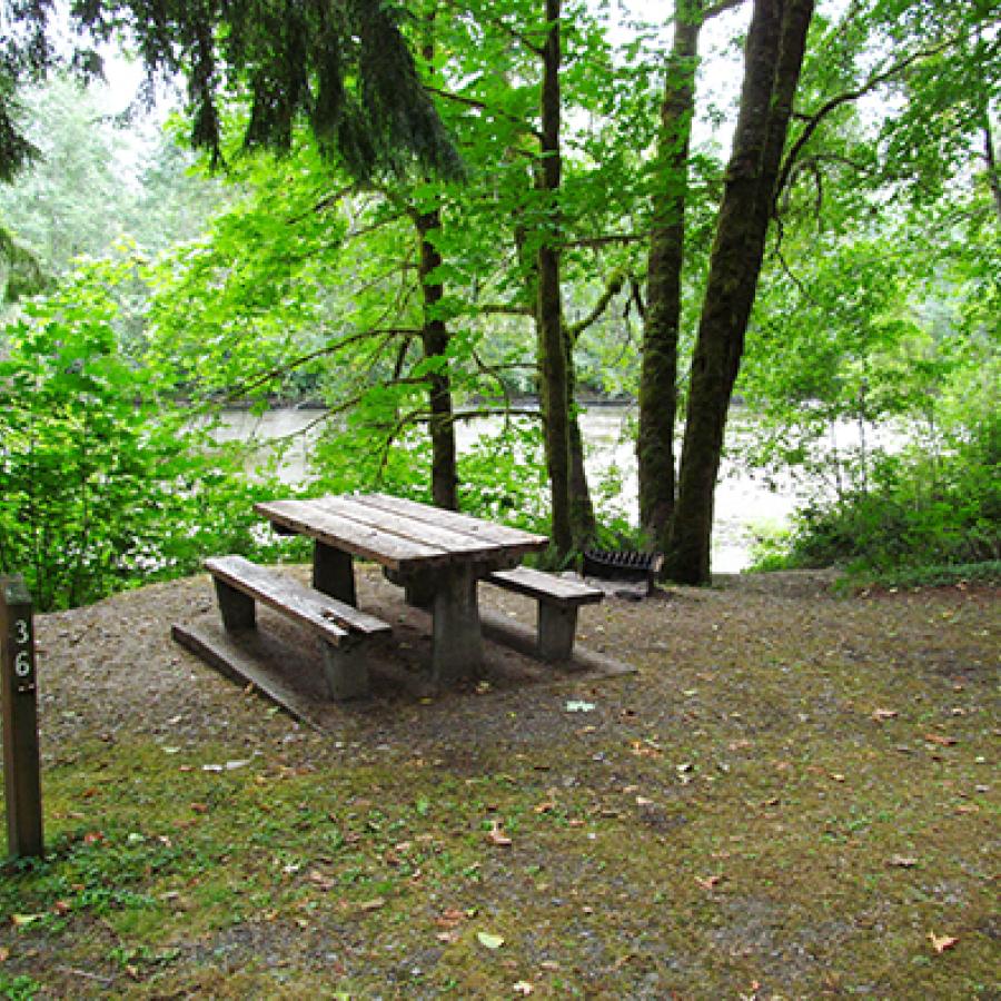 A picnic table in a campsite with the Bogachiel River in the background.