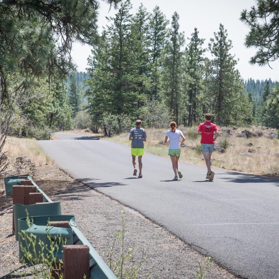 Three joggers run in the sunshine along a paved road through trees and a rocky field.