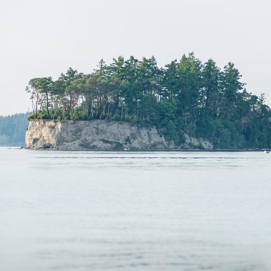 Cutts Island water view pudget sound salt water