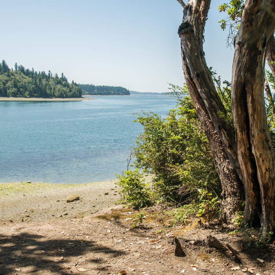 Cutts Island view from tree line Puget Sound salt water beach