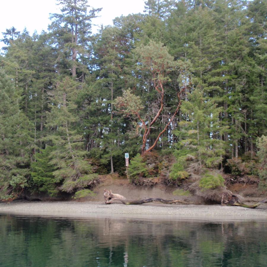 Eagle Island rocky beach view trees on pudget sound
