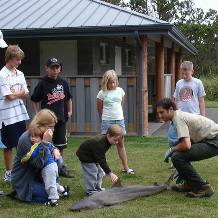 Grayland Beach interpretive center shark education