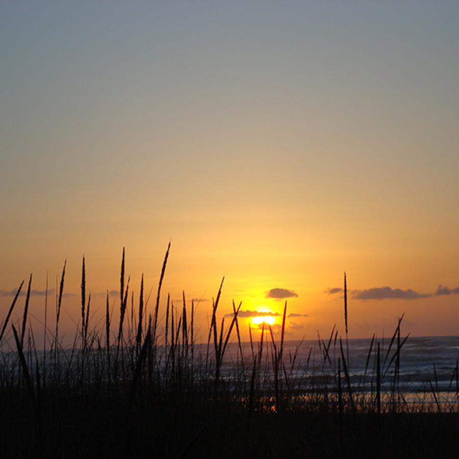Grayland Beach sunset over grassy dunes ocean view 