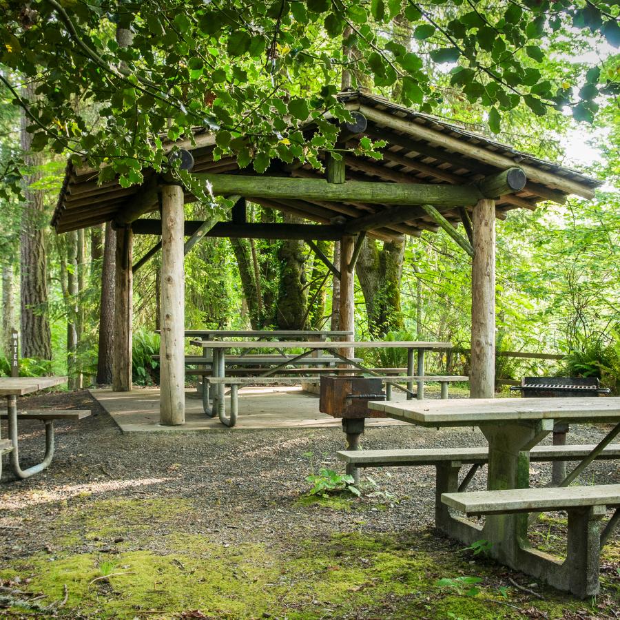 Kopachuck picnic shelter trees