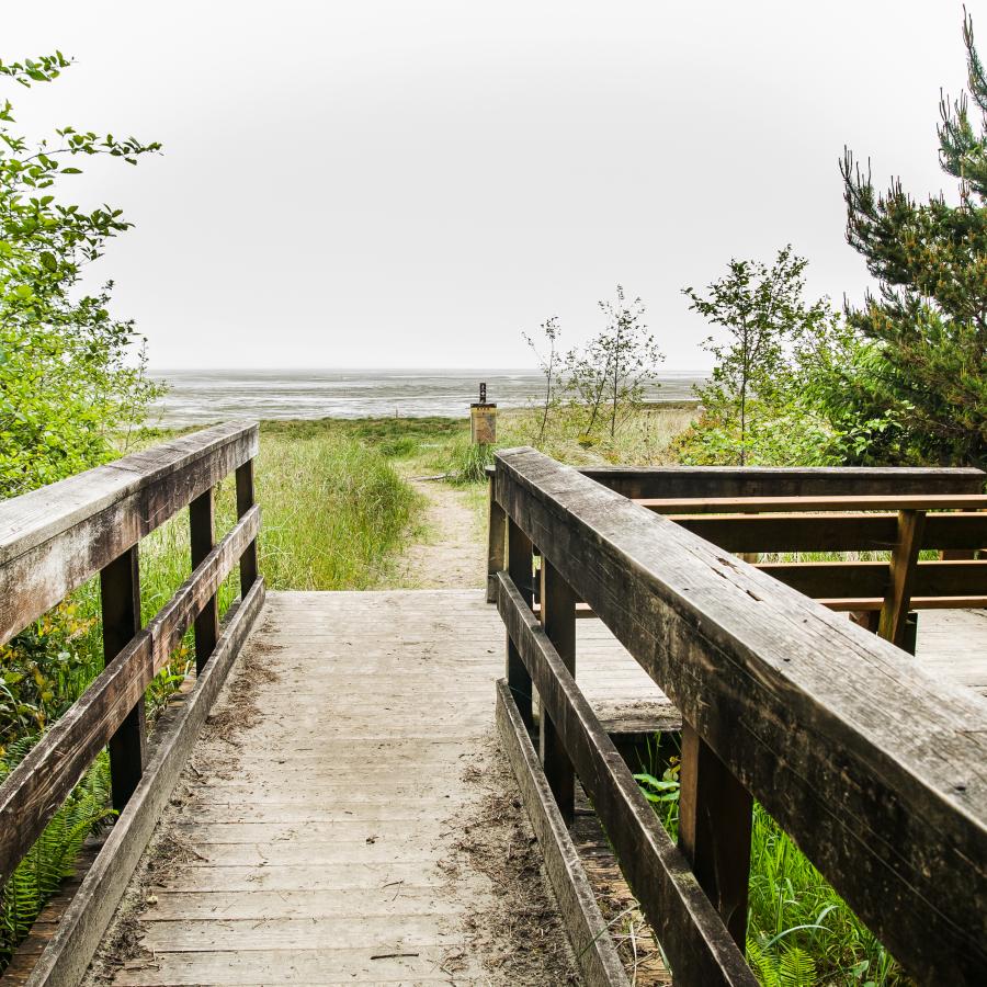 overlook platform of wood leading out towards a coastal view of the preserve