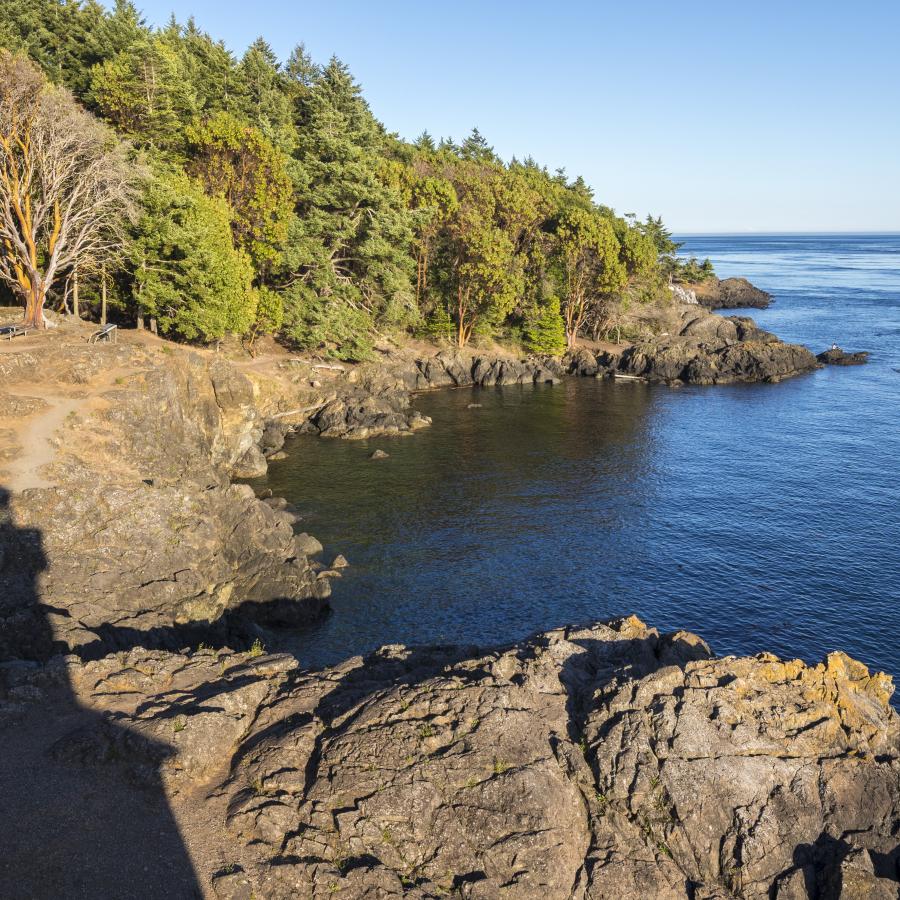 The shadow of the lighthouse is cast across the rocky cliff as the view looks out over trees, rocky cliff and water touching blue sky.