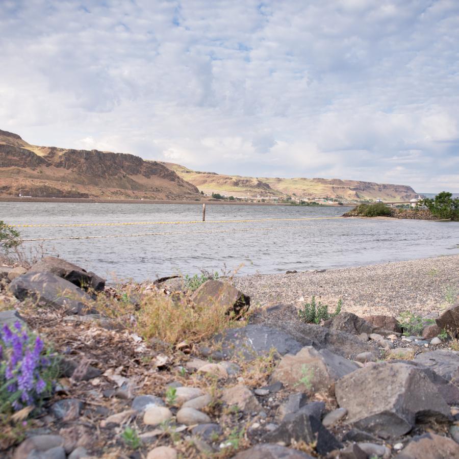 Rocky swim beach with hills and bridge