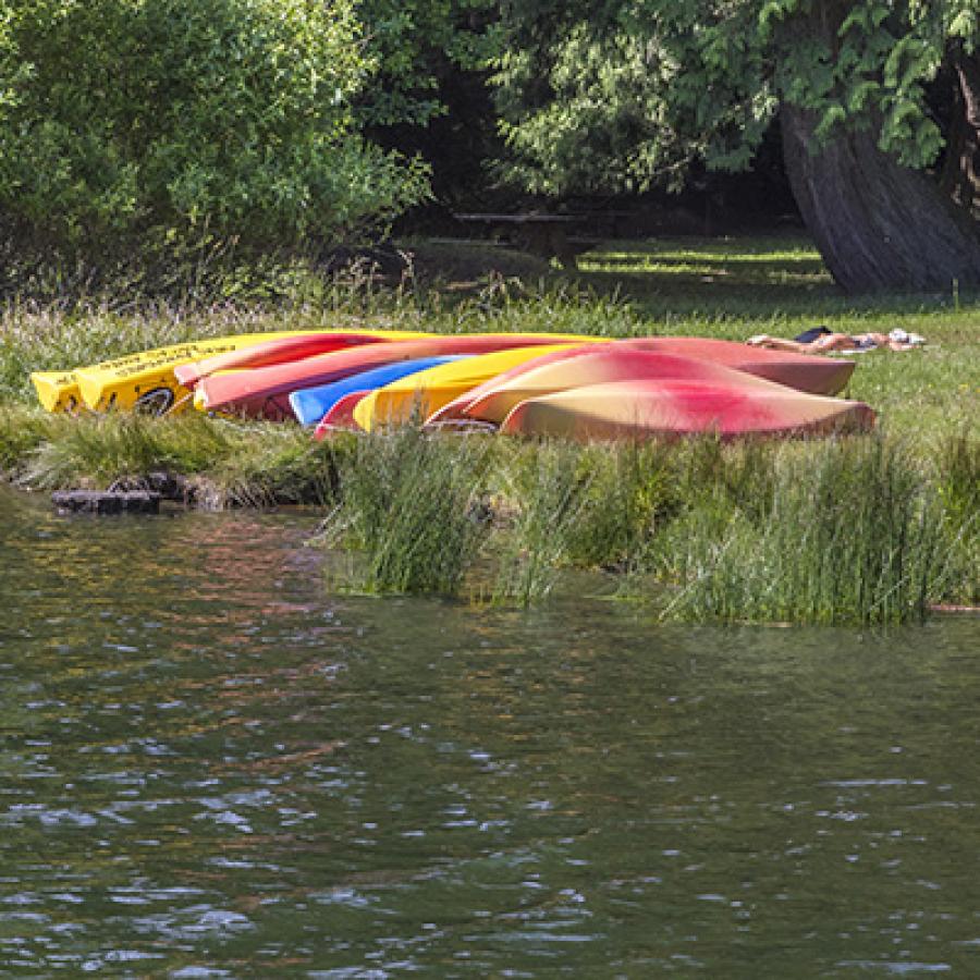kayaks laid upon the grassy bank of the water