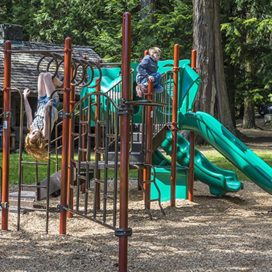 children's playground with green slide and soft mulch underneath 