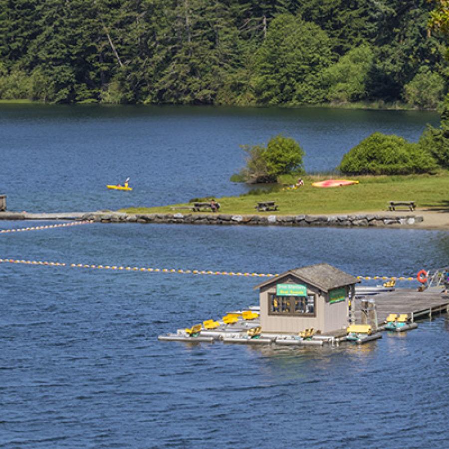 Birdseye view of swim beach and boat rental dock